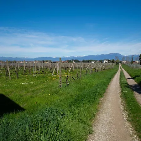 Guest house Five Elements Nature And Relax Near Garda Peschiera del Garda